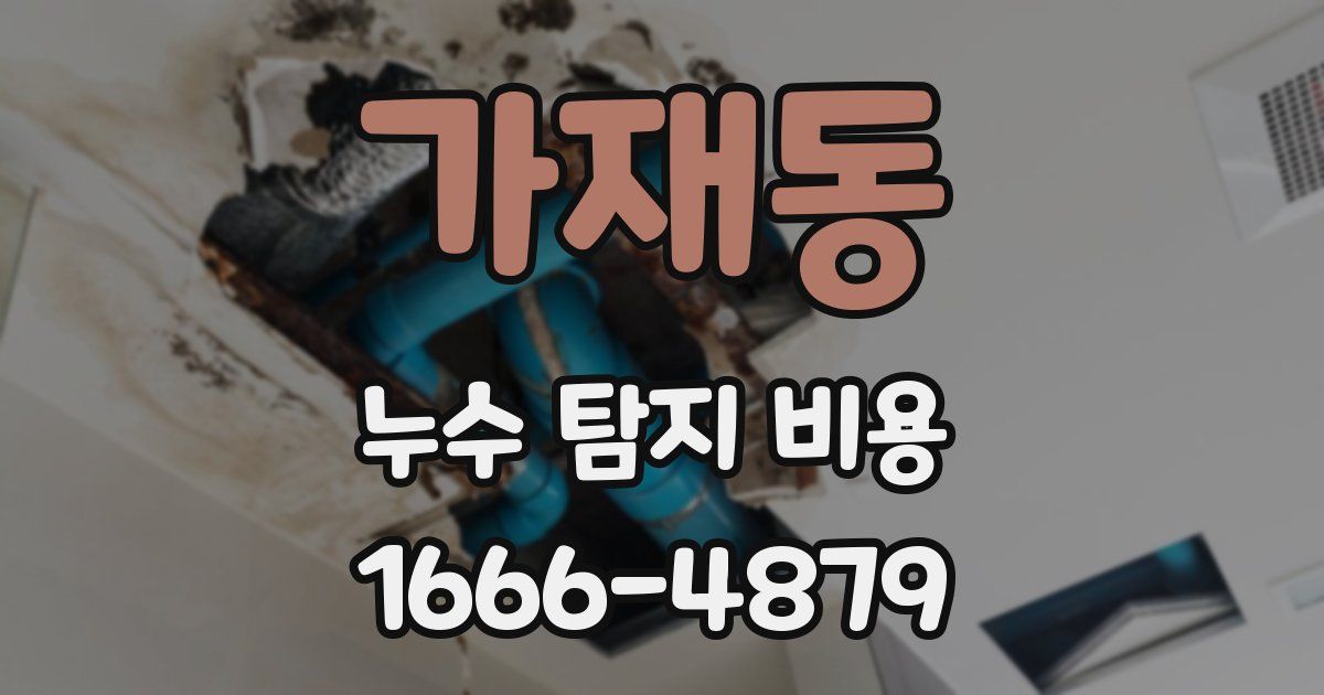 가재동 누수 탐지 비용