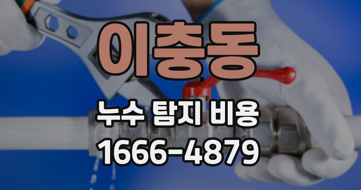 이충동 누수 탐지 비용