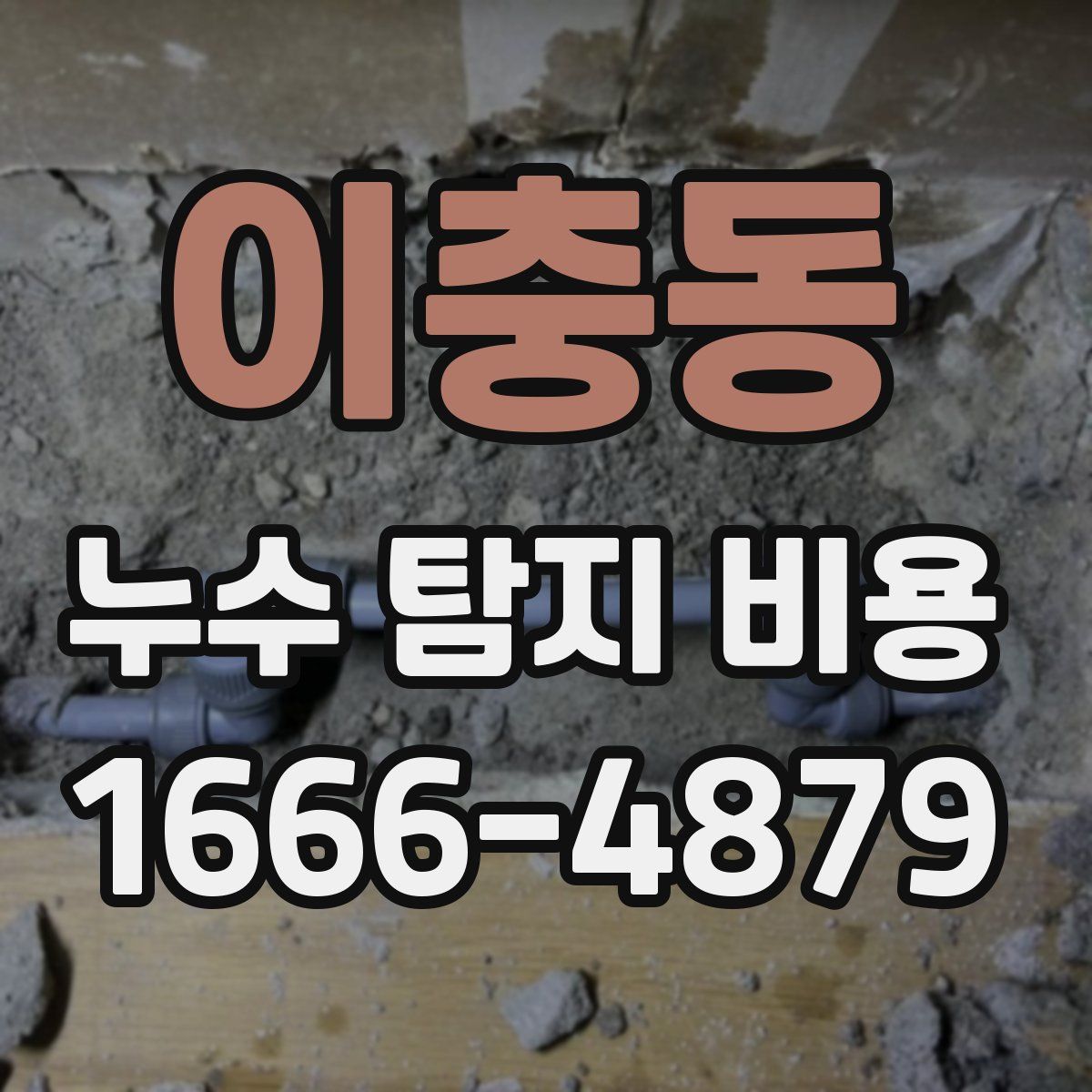 이충동 누수 탐지 비용