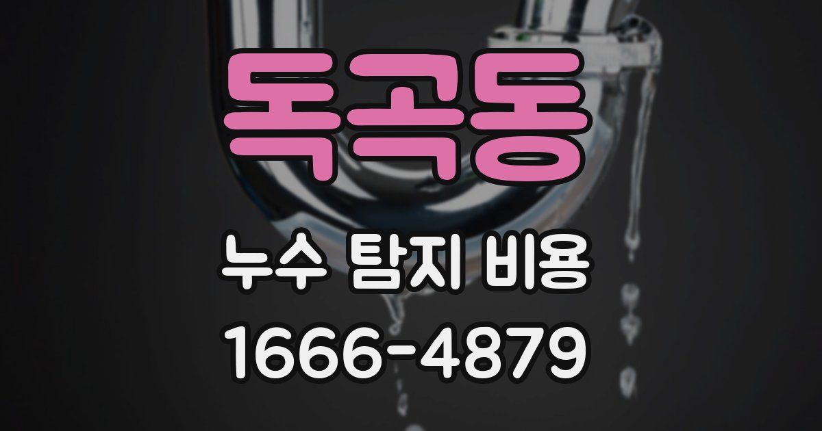 독곡동 누수 탐지 비용
