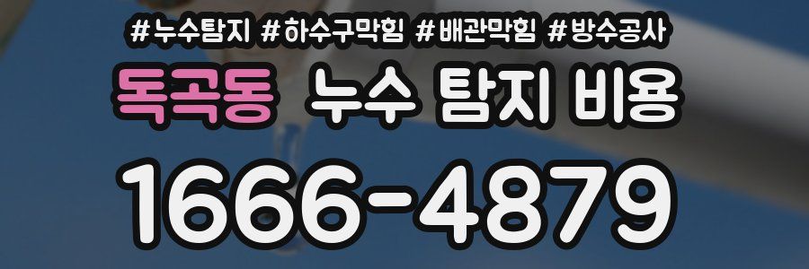 독곡동 누수 탐지 비용