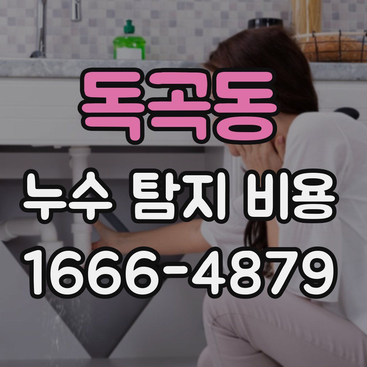 독곡동 누수 탐지 비용