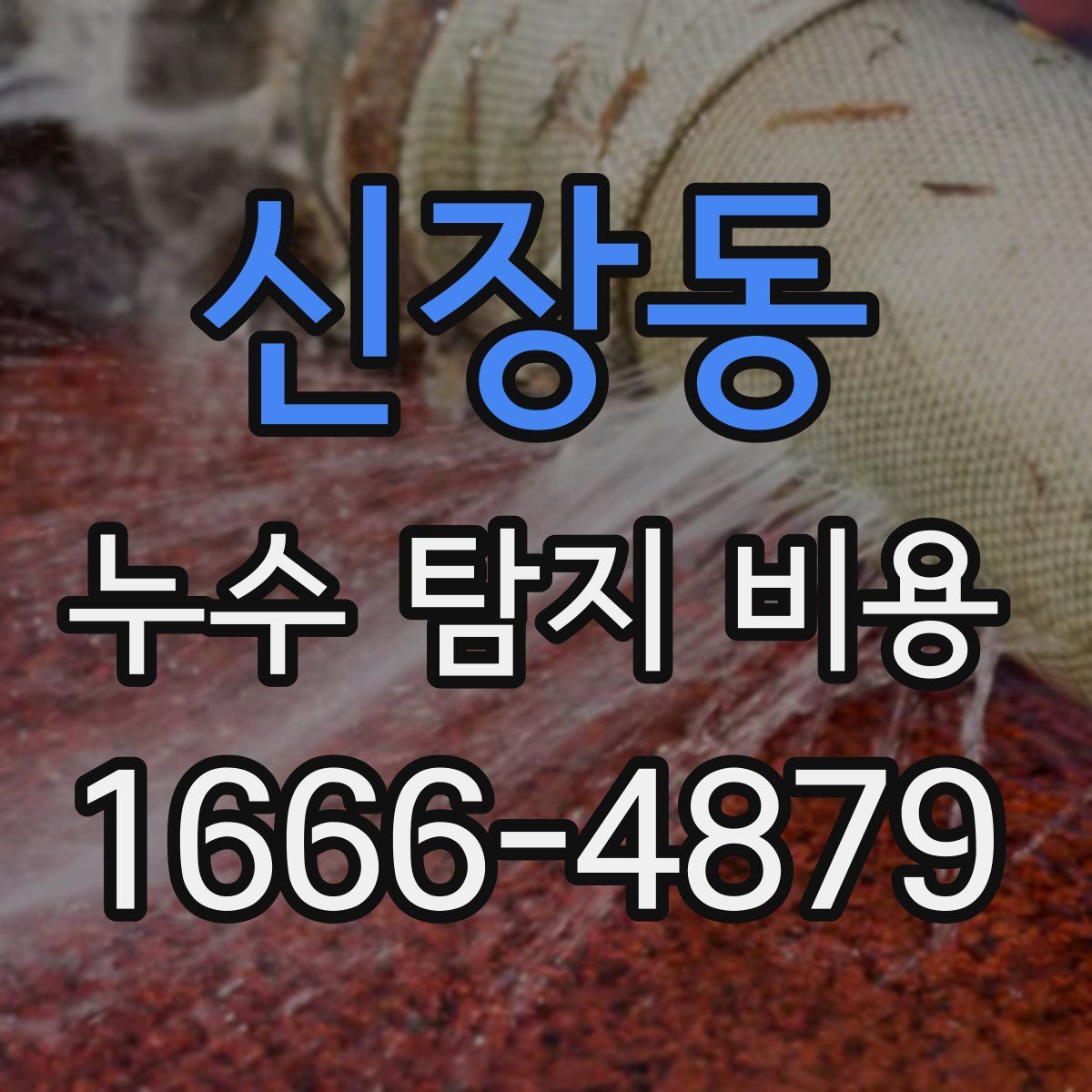 신장동 누수 탐지 비용
