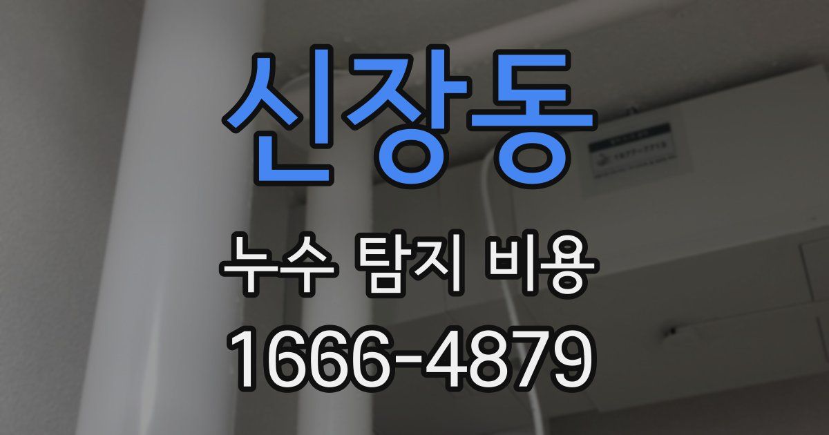 신장동 누수 탐지 비용