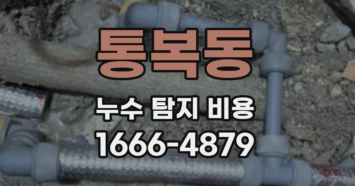 통복동 누수 탐지 비용