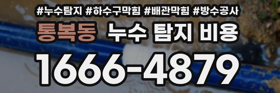 통복동 누수 탐지 비용