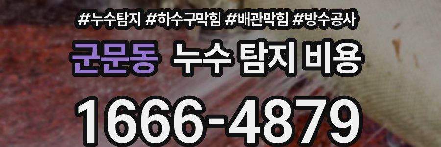 군문동 누수 탐지 비용