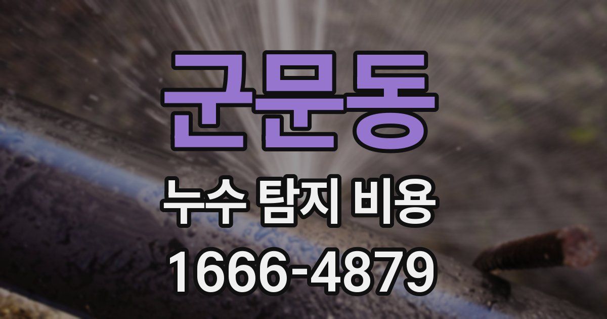 군문동 누수 탐지 비용