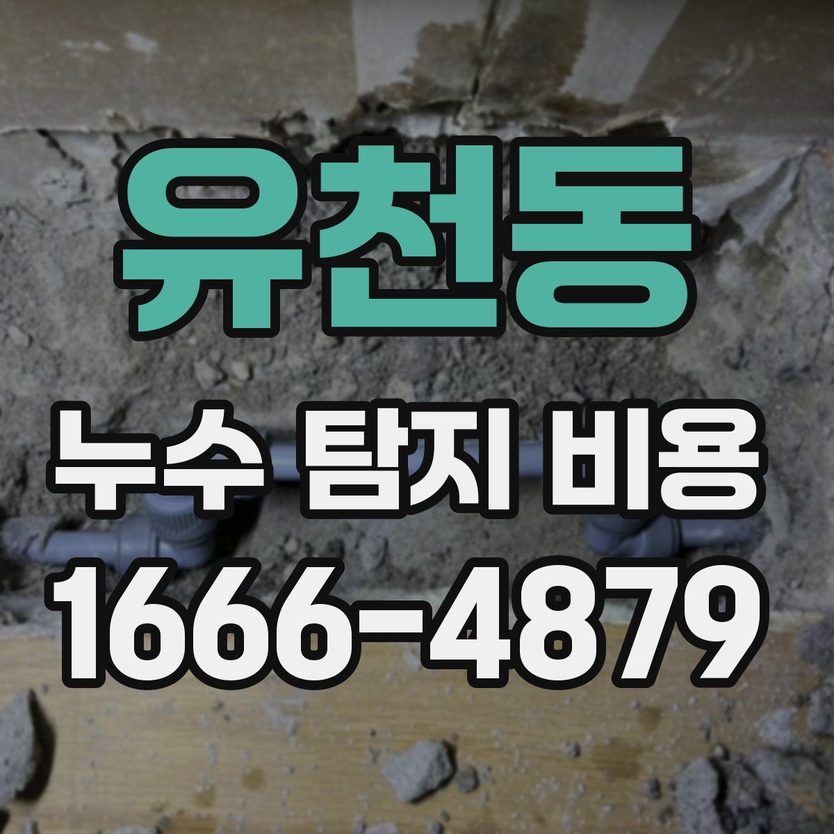 유천동 누수 탐지 비용