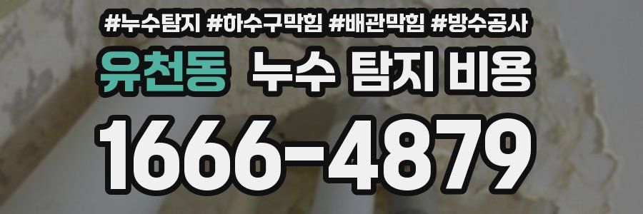 유천동 누수 탐지 비용