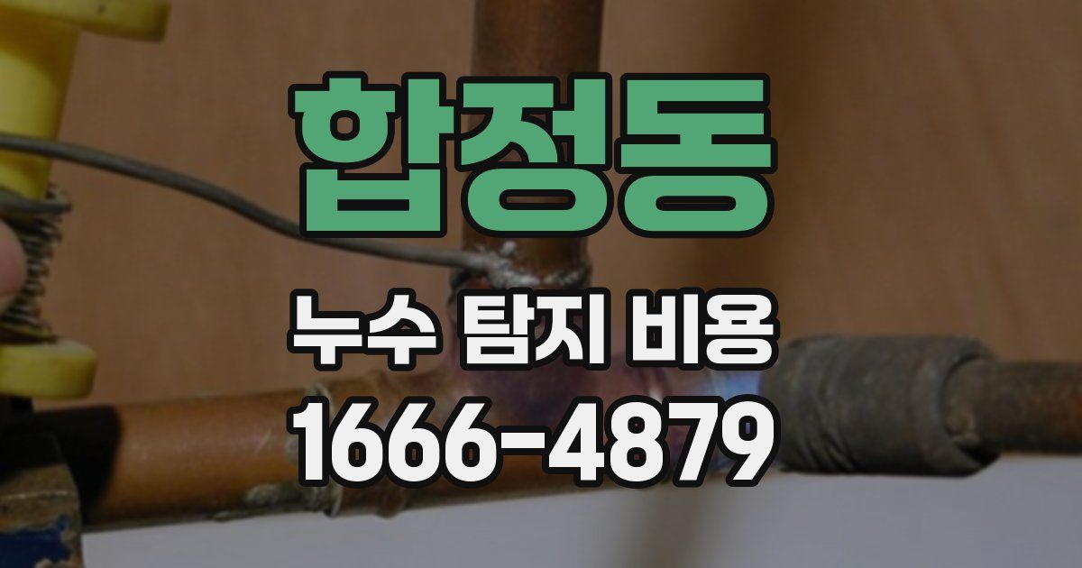 합정동 누수 탐지 비용