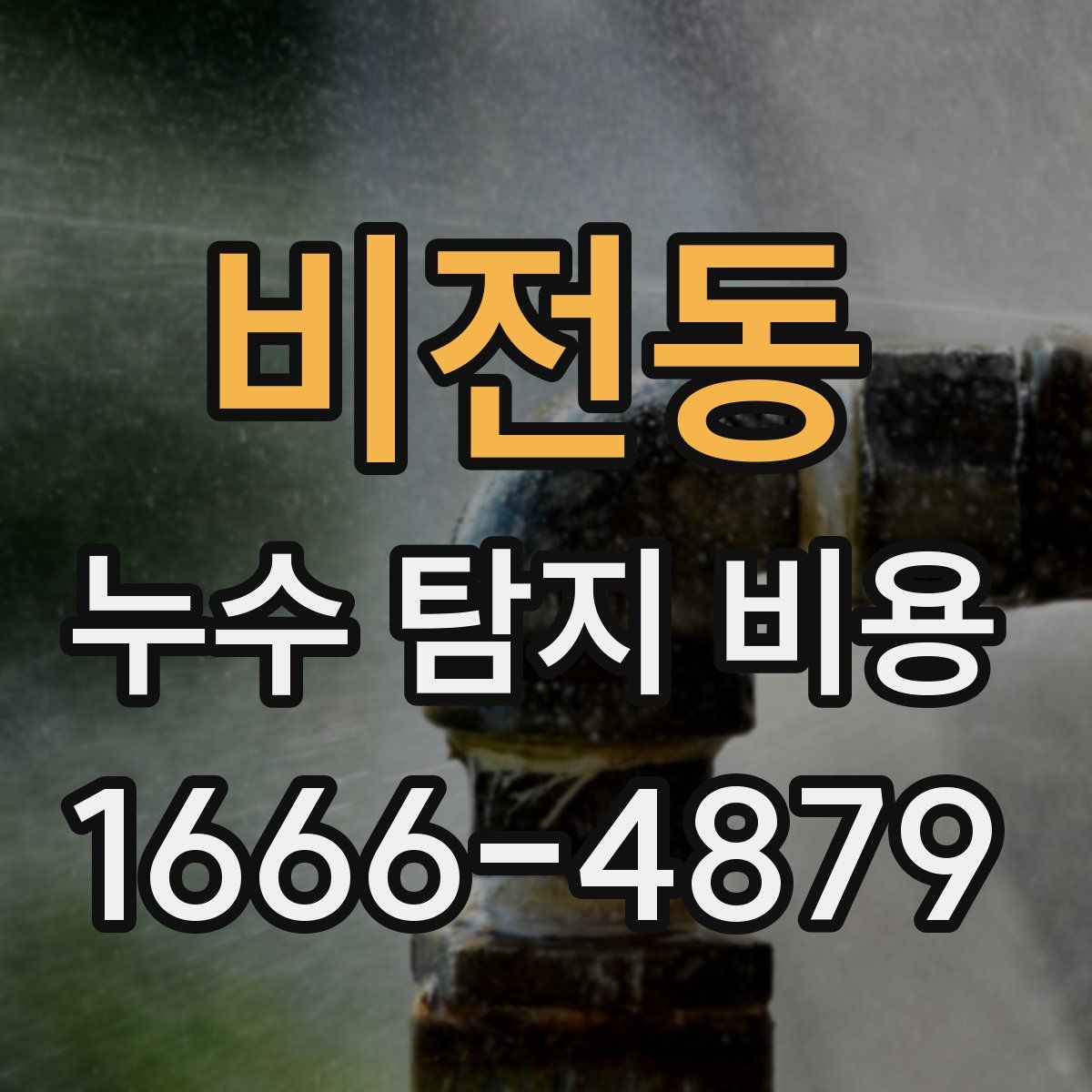 비전동 누수 탐지 비용