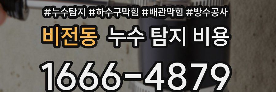 비전동 누수 탐지 비용