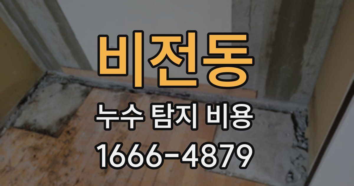 비전동 누수 탐지 비용