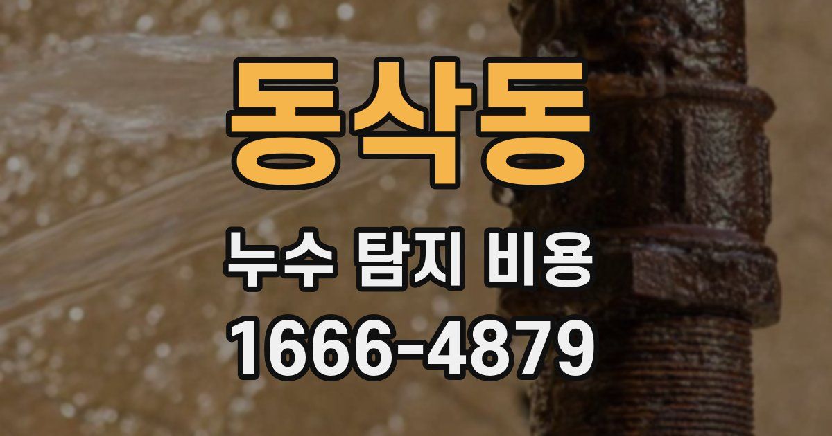 동삭동 누수 탐지 비용