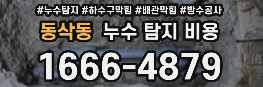 동삭동 누수 탐지 비용