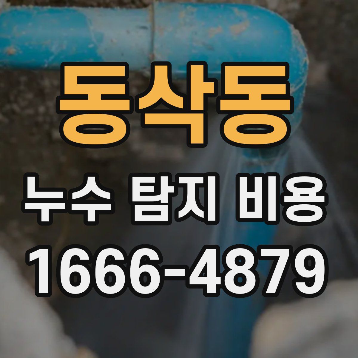 동삭동 누수 탐지 비용