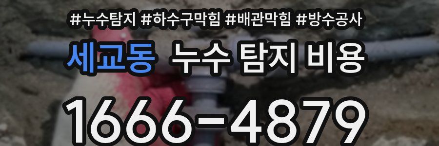 세교동 누수 탐지 비용
