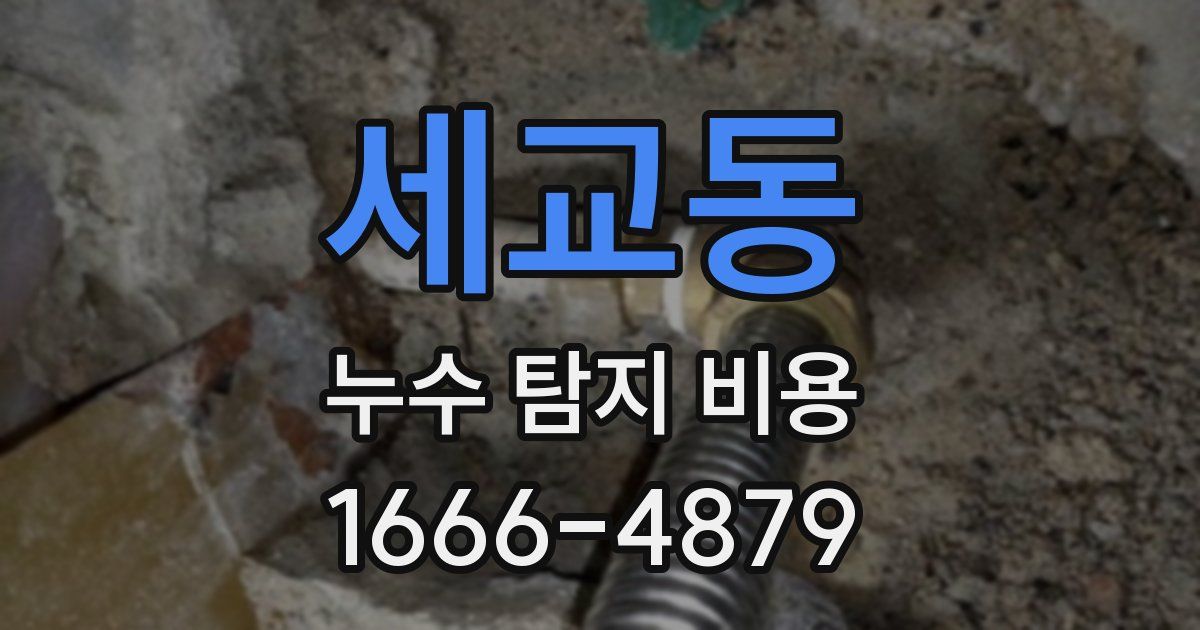세교동 누수 탐지 비용