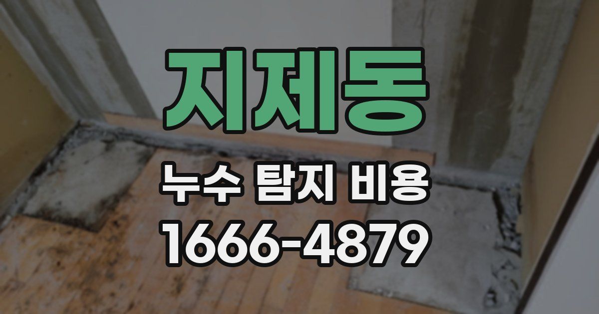 지제동 누수 탐지 비용
