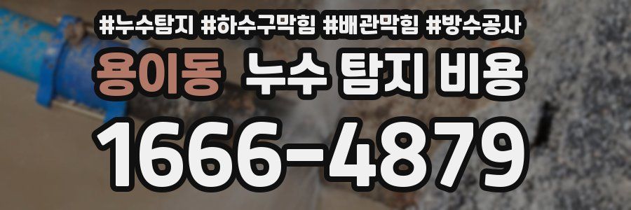 용이동 누수 탐지 비용