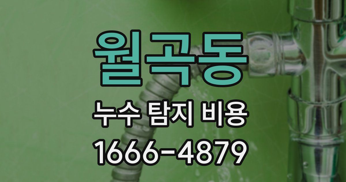 월곡동 누수 탐지 비용