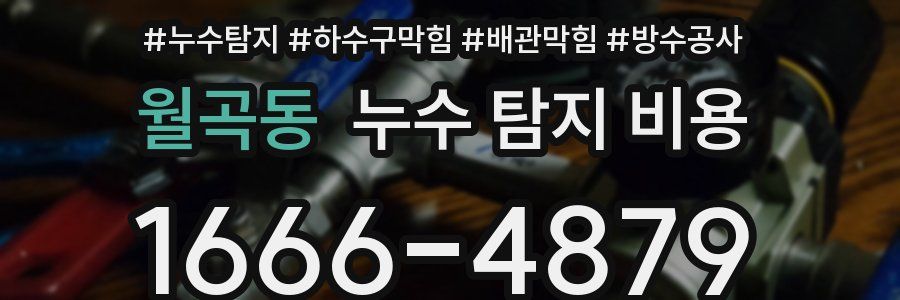 월곡동 누수 탐지 비용