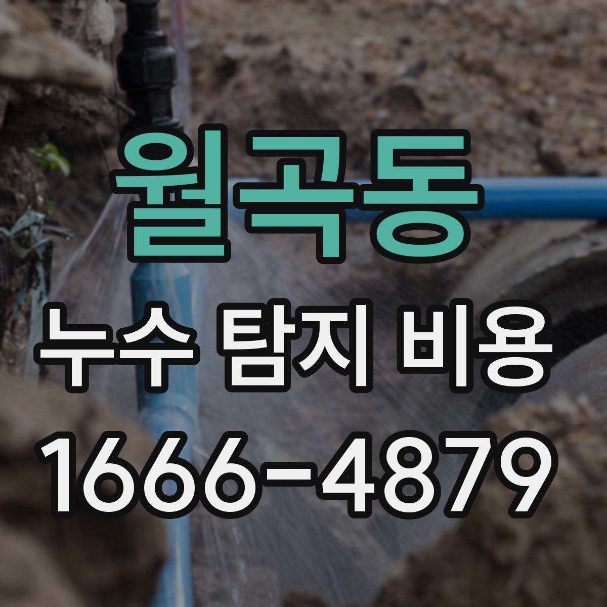 월곡동 누수 탐지 비용