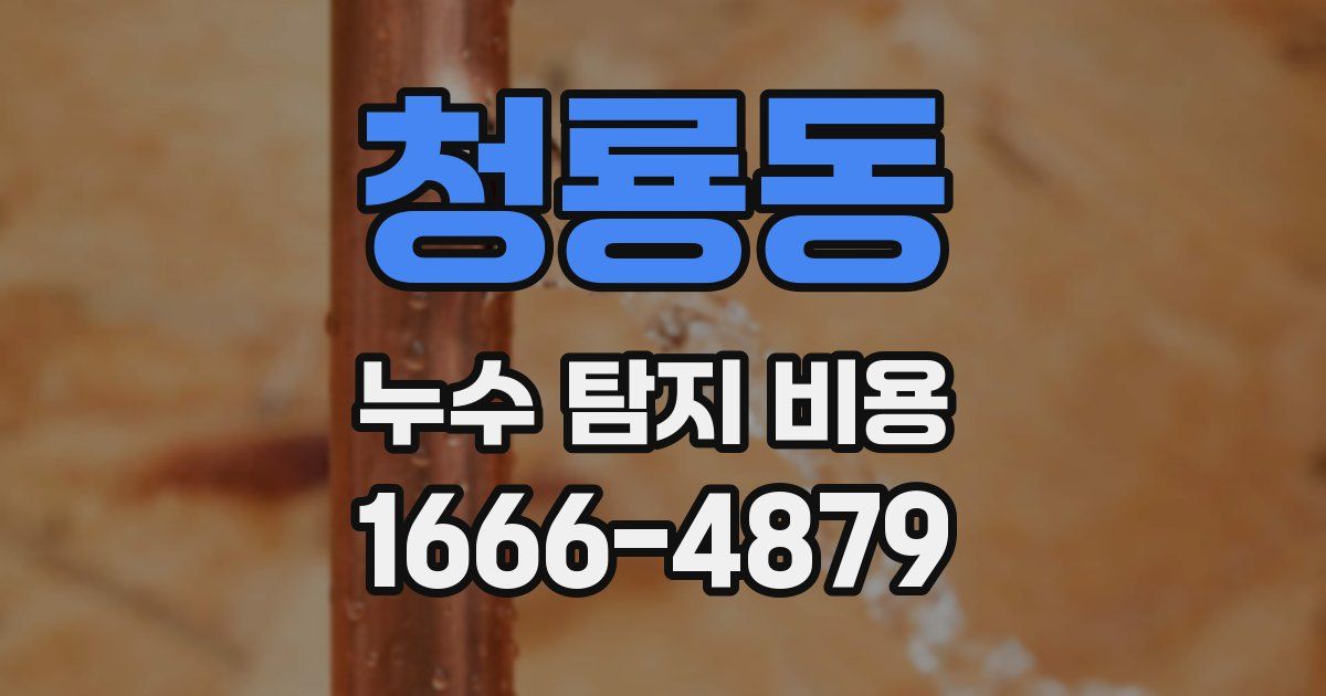 청룡동 누수 탐지 비용