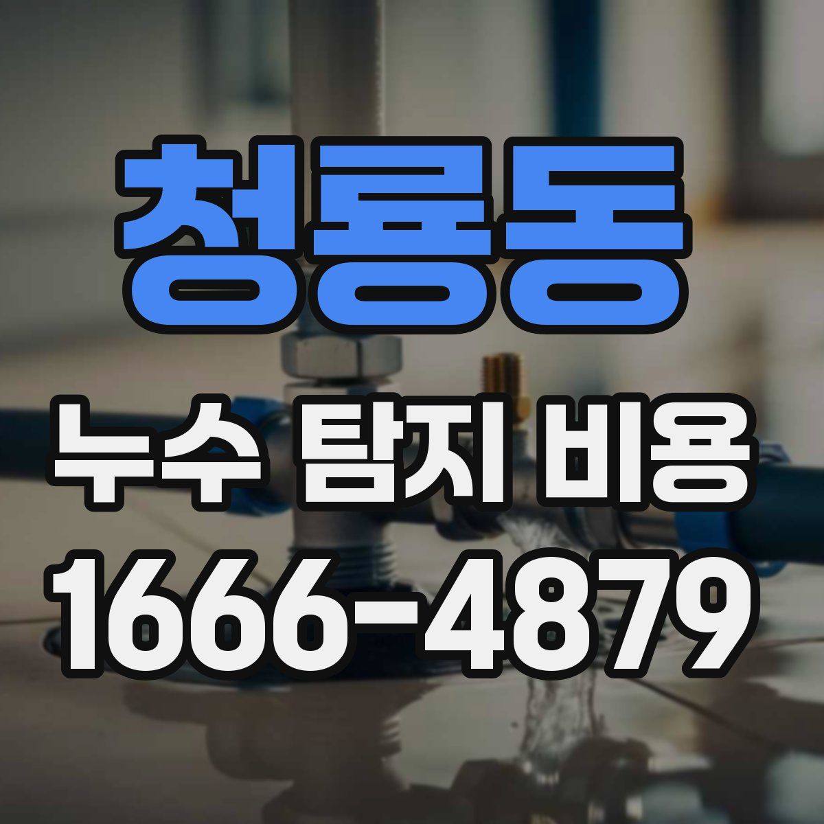 청룡동 누수 탐지 비용