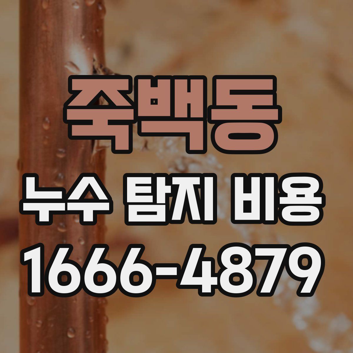 죽백동 누수 탐지 비용