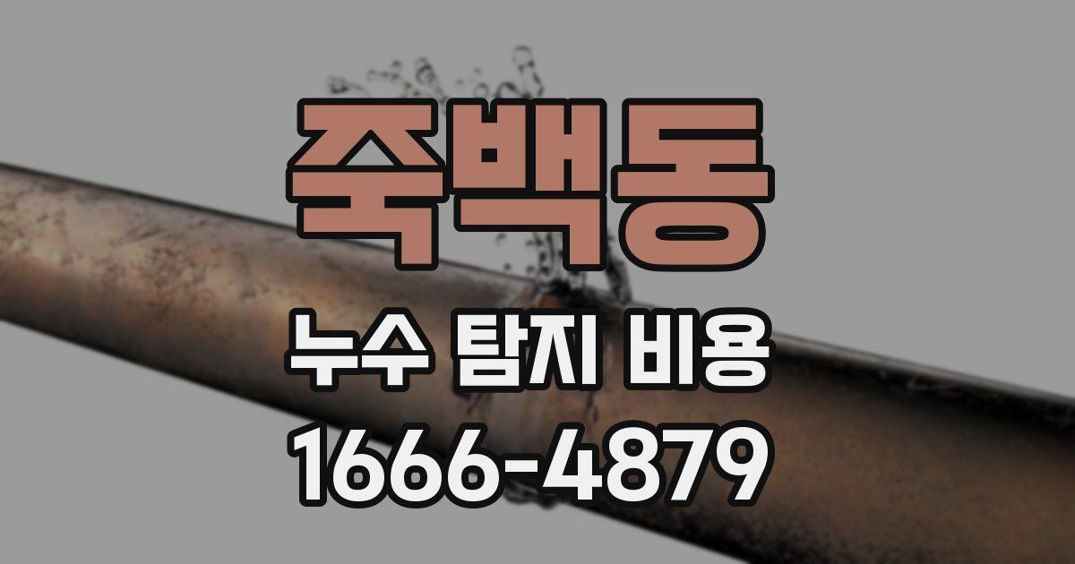 죽백동 누수 탐지 비용