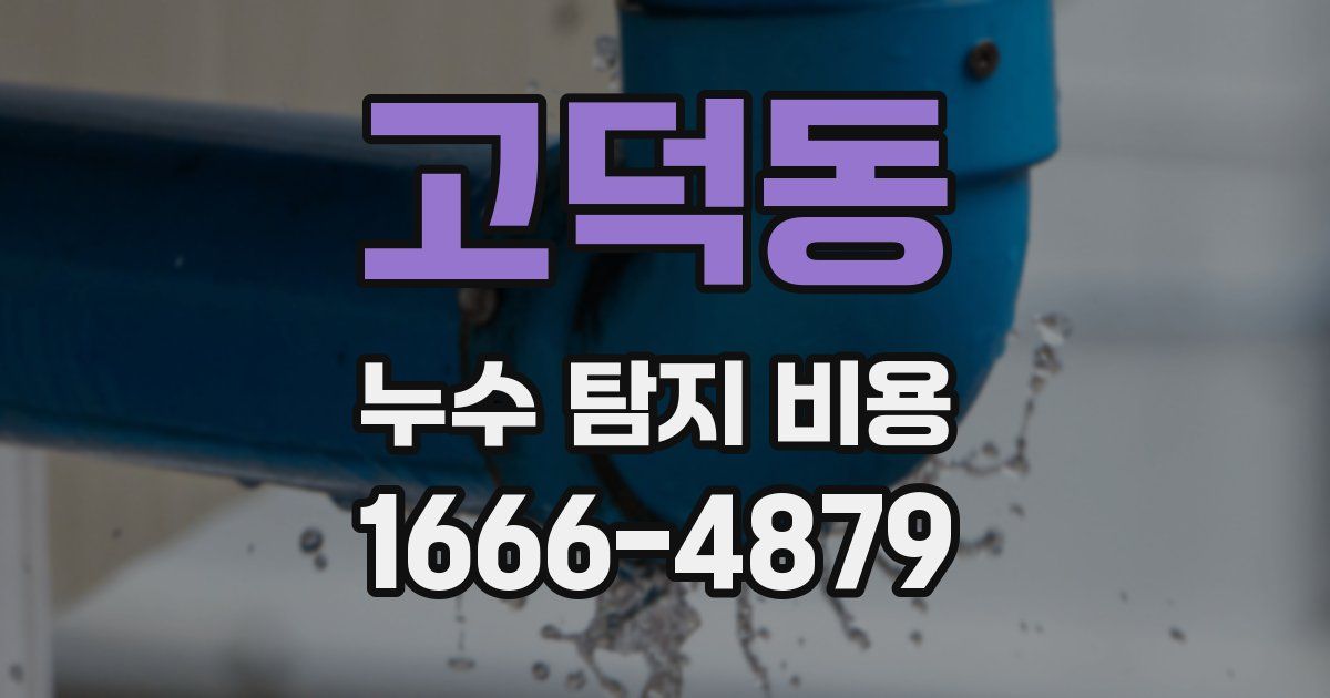고덕동 누수 탐지 비용