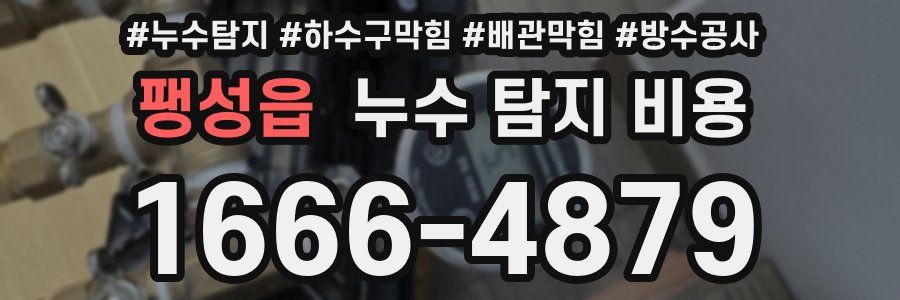 팽성읍 누수 탐지 비용