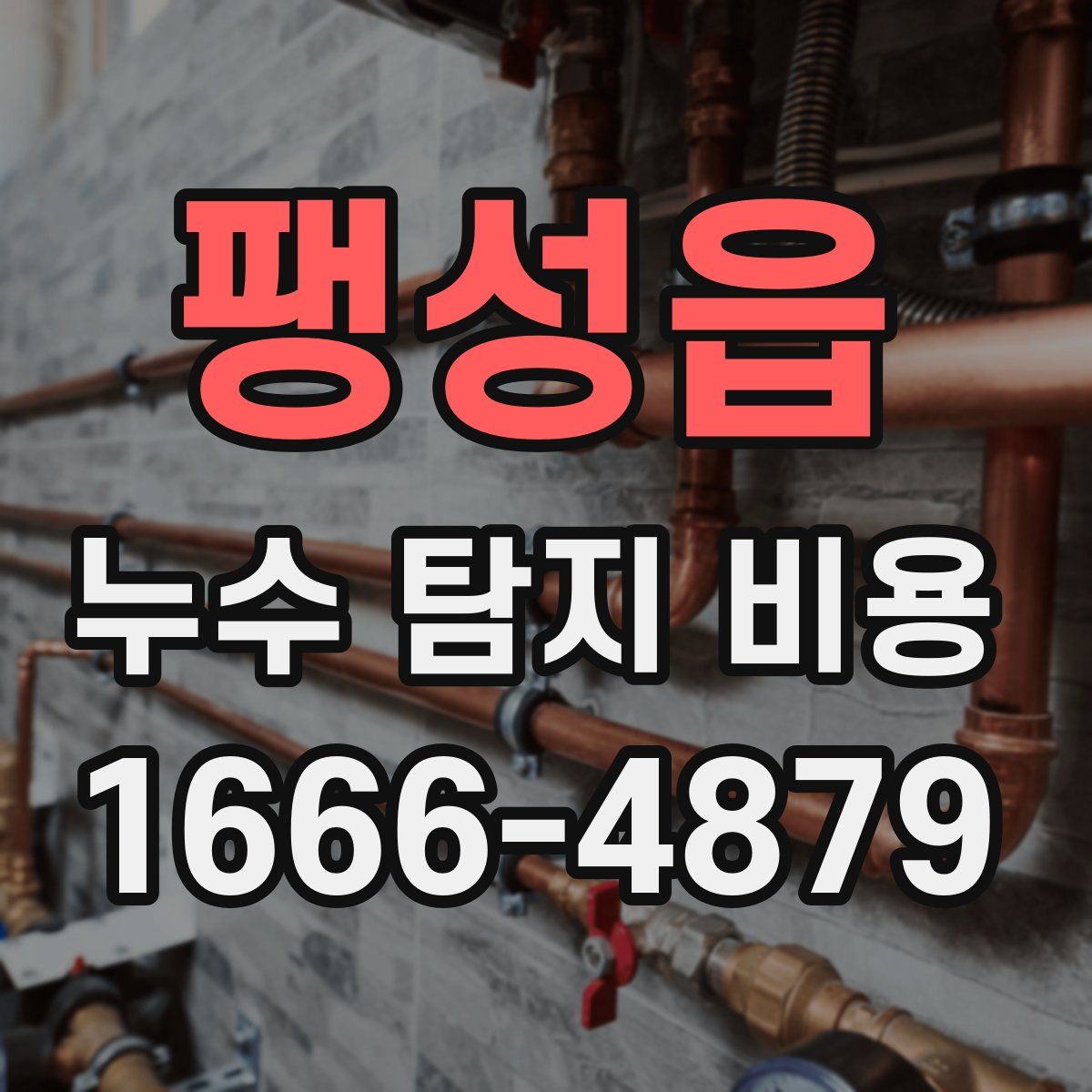 팽성읍 누수 탐지 비용