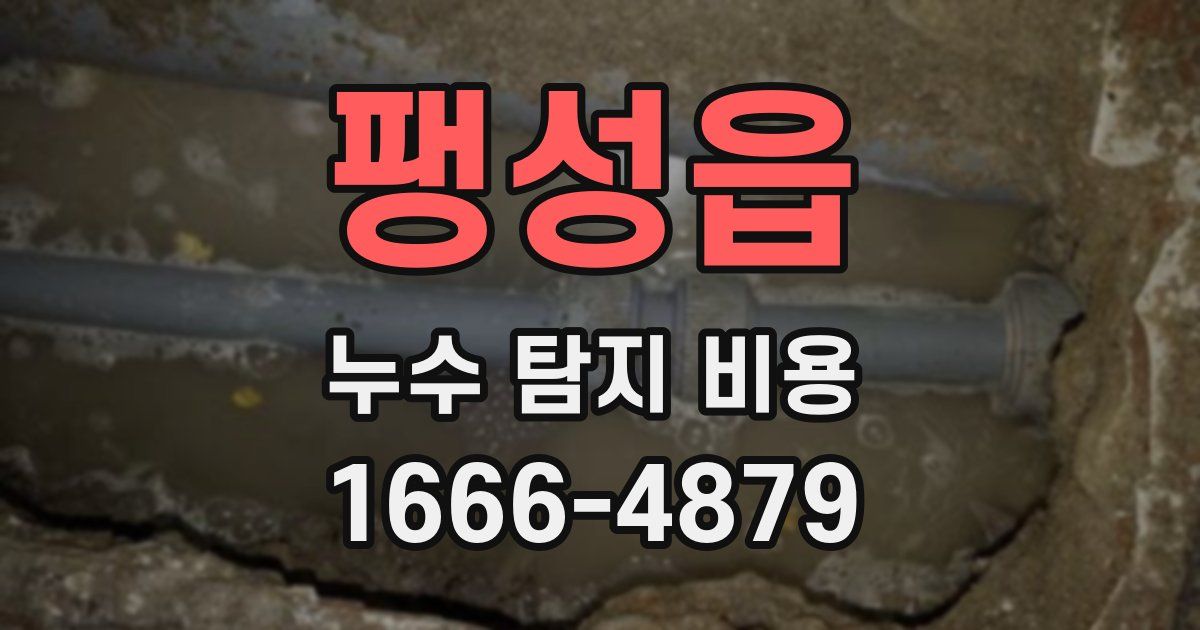 팽성읍 누수 탐지 비용
