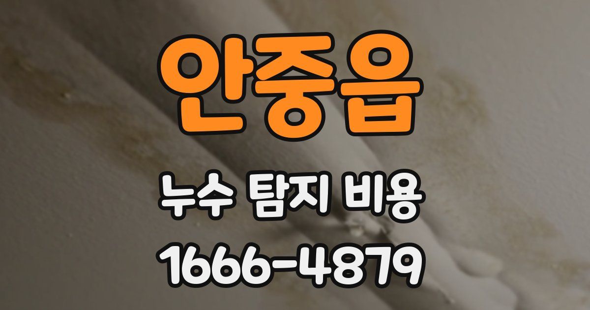 안중읍 누수 탐지 비용