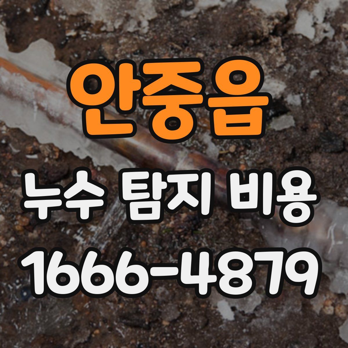 안중읍 누수 탐지 비용