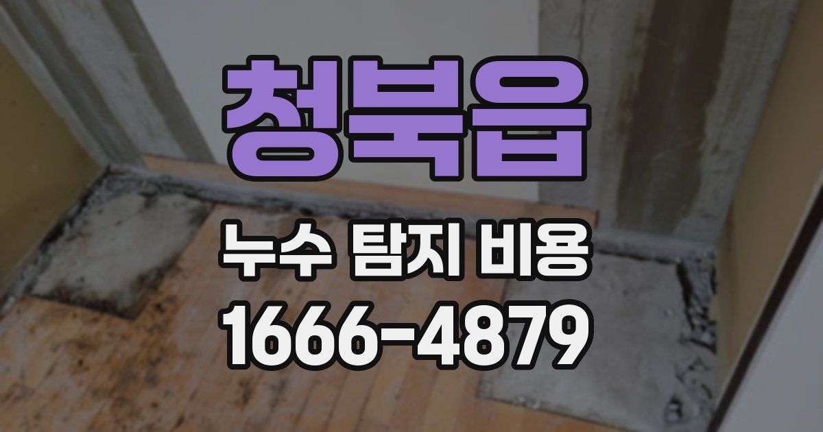 청북읍 누수 탐지 비용