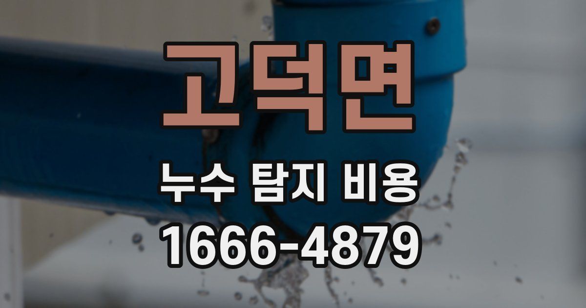 고덕면 누수 탐지 비용