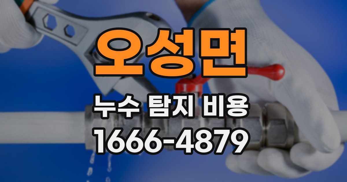 오성면 누수 탐지 비용