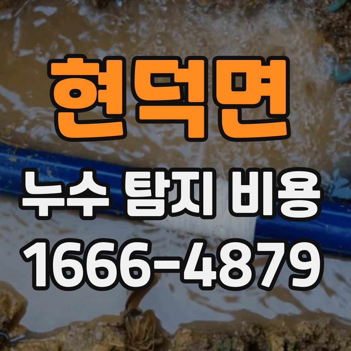 현덕면 누수 탐지 비용