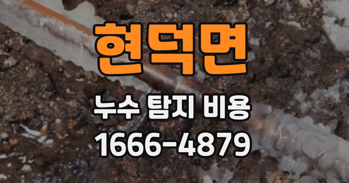현덕면 누수 탐지 비용