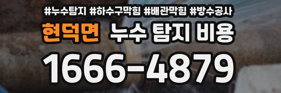 현덕면 누수 탐지 비용