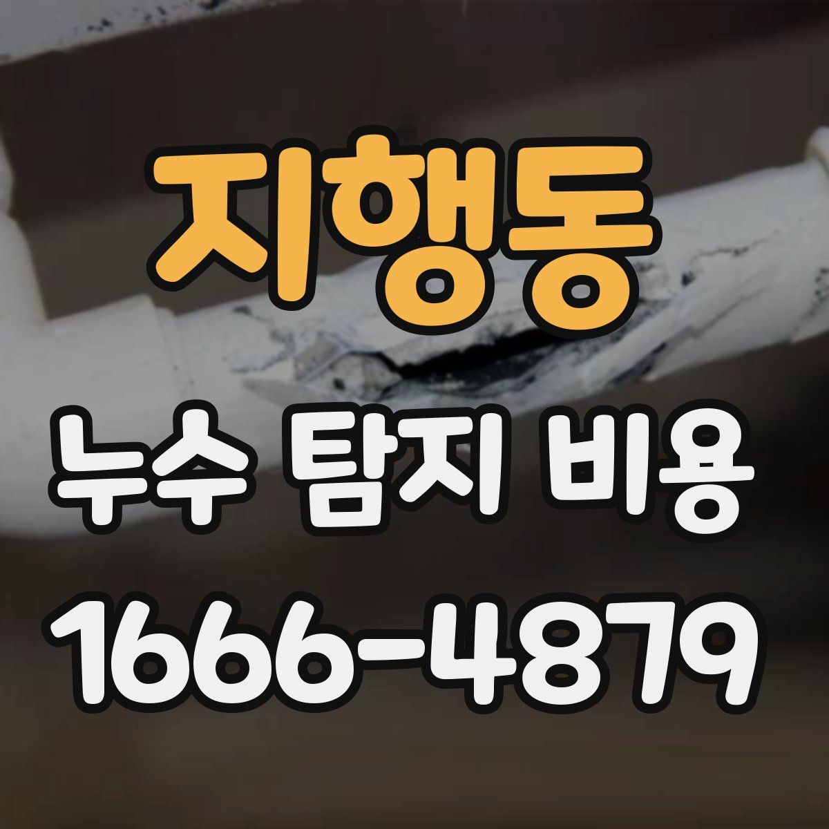 지행동 누수 탐지 비용
