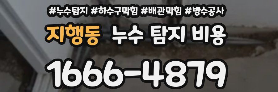 지행동 누수 탐지 비용