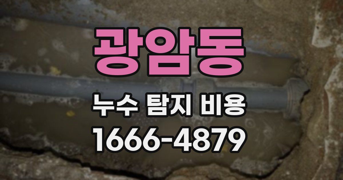 광암동 누수 탐지 비용