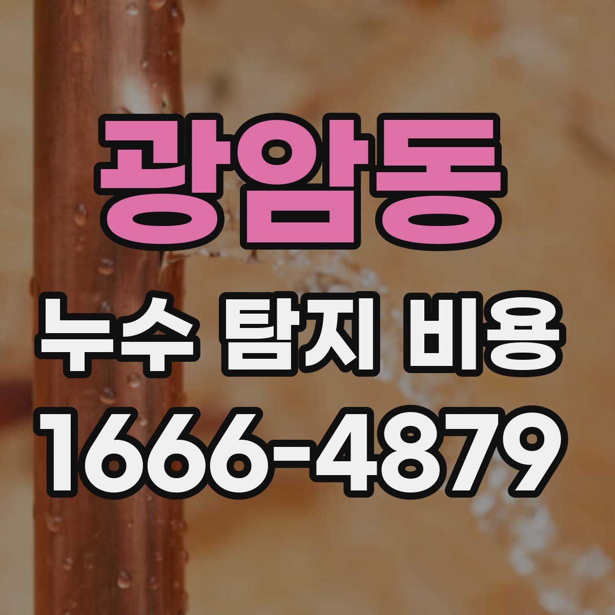 광암동 누수 탐지 비용