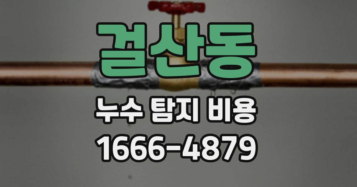 걸산동 누수 탐지 비용