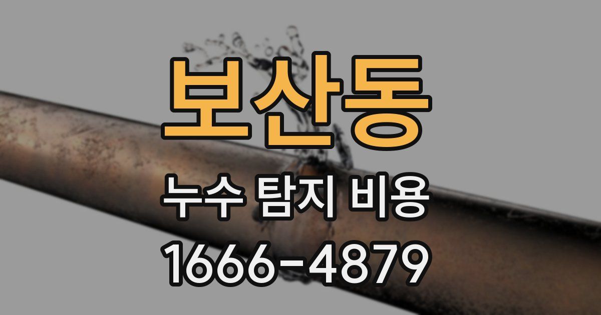 보산동 누수 탐지 비용
